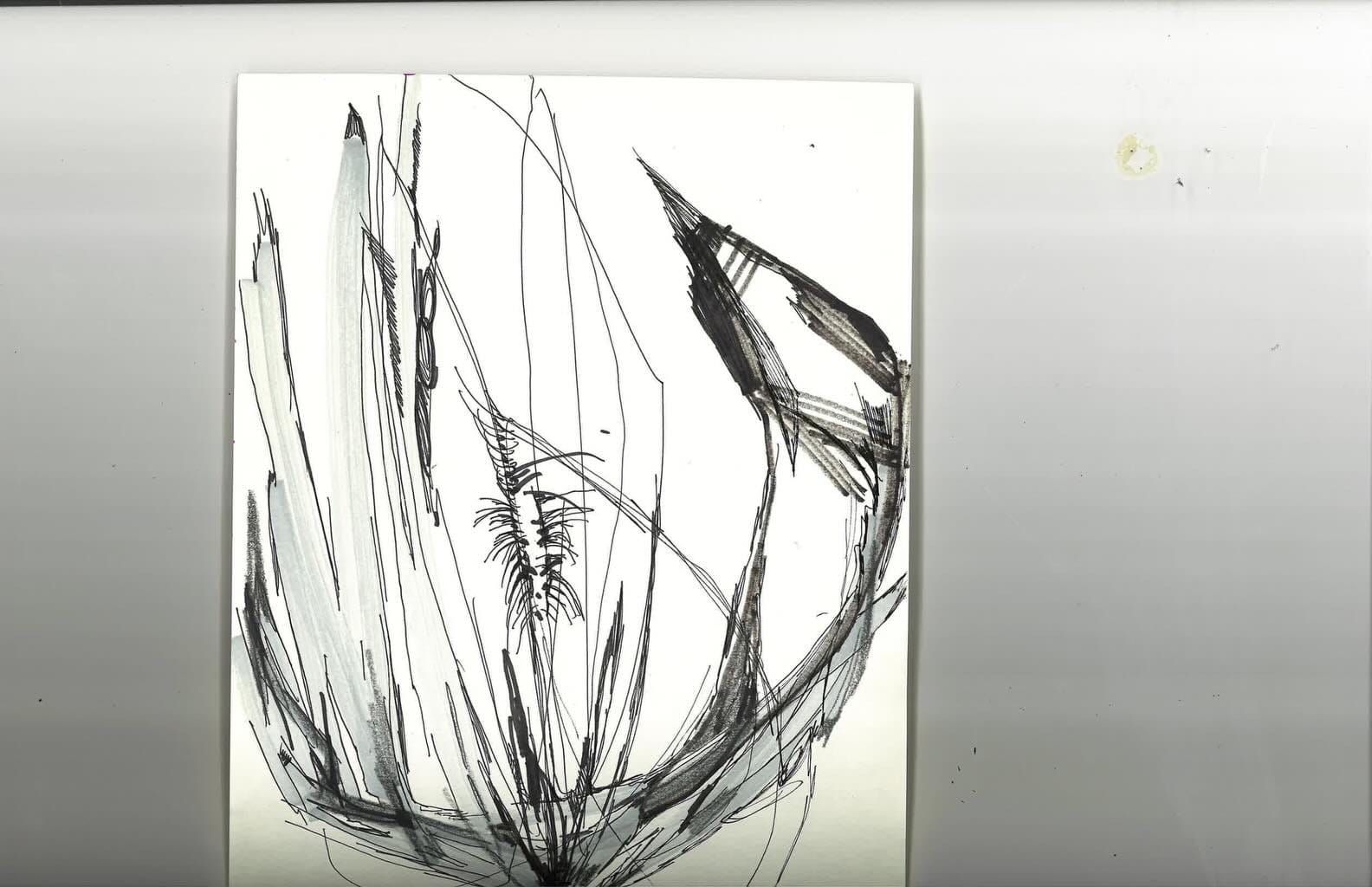 Drawing