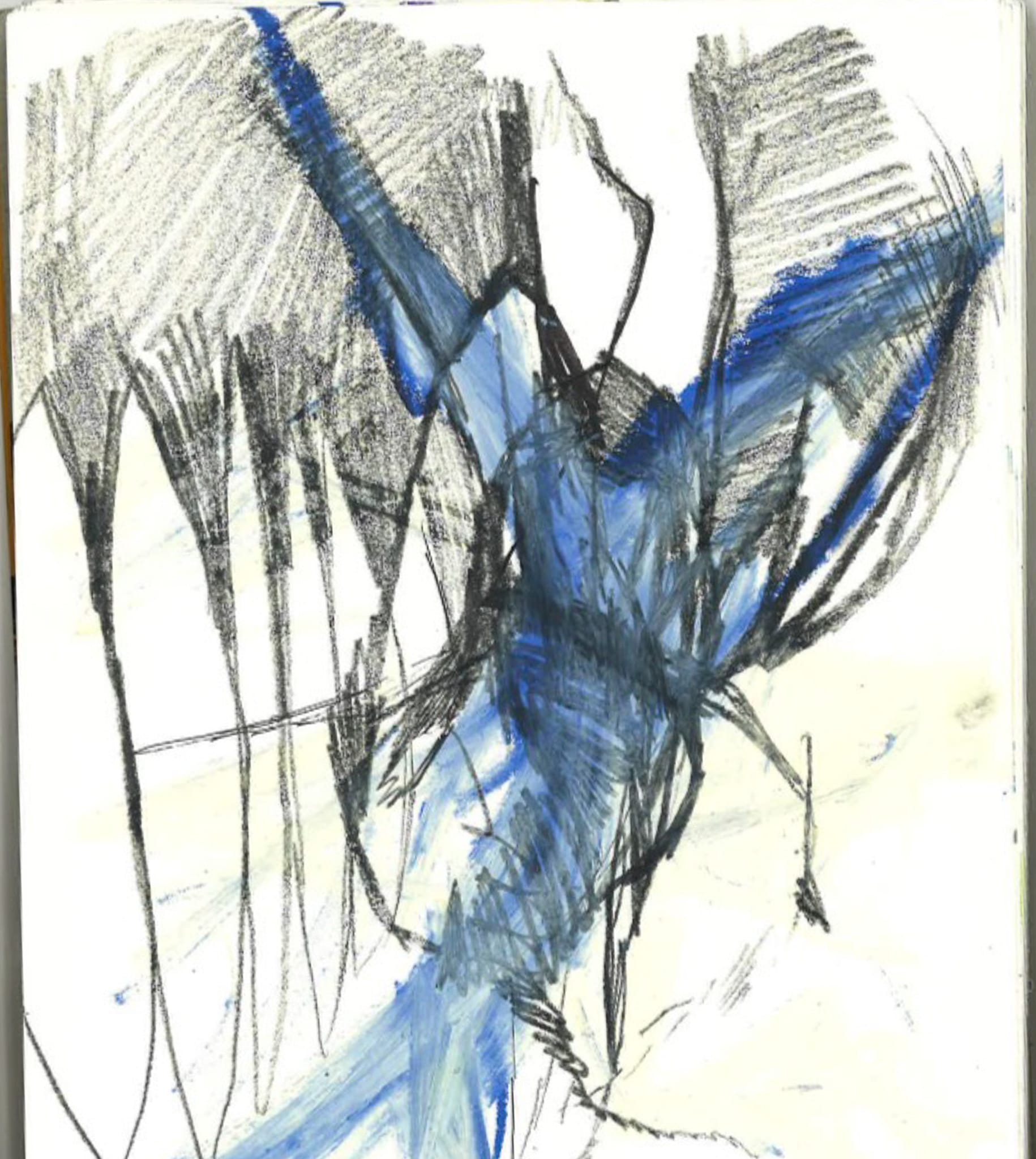 Drawing